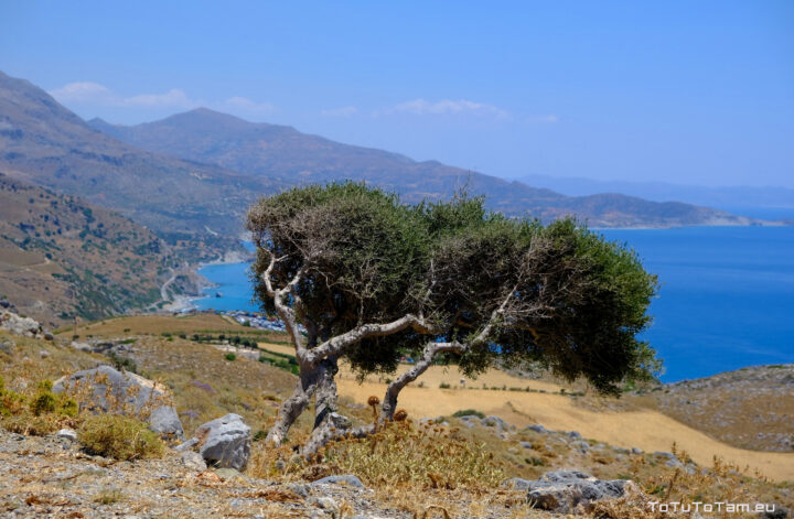 Południowa Kreta
